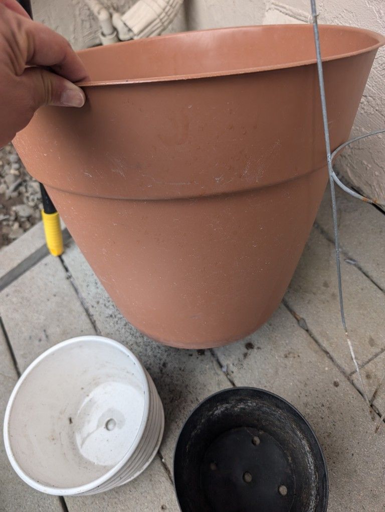 Free Pots To Plant