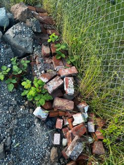 Free bricks