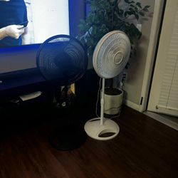 Fan Size 18 I Have 2 Each One 30