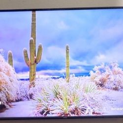 Vizio 70 Inch Model v705-g1 Works Used Daily Original Remote And Stand Included 