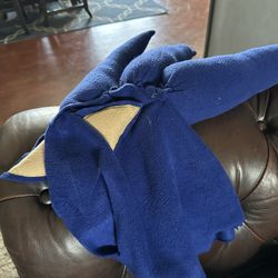 Sonic Costume