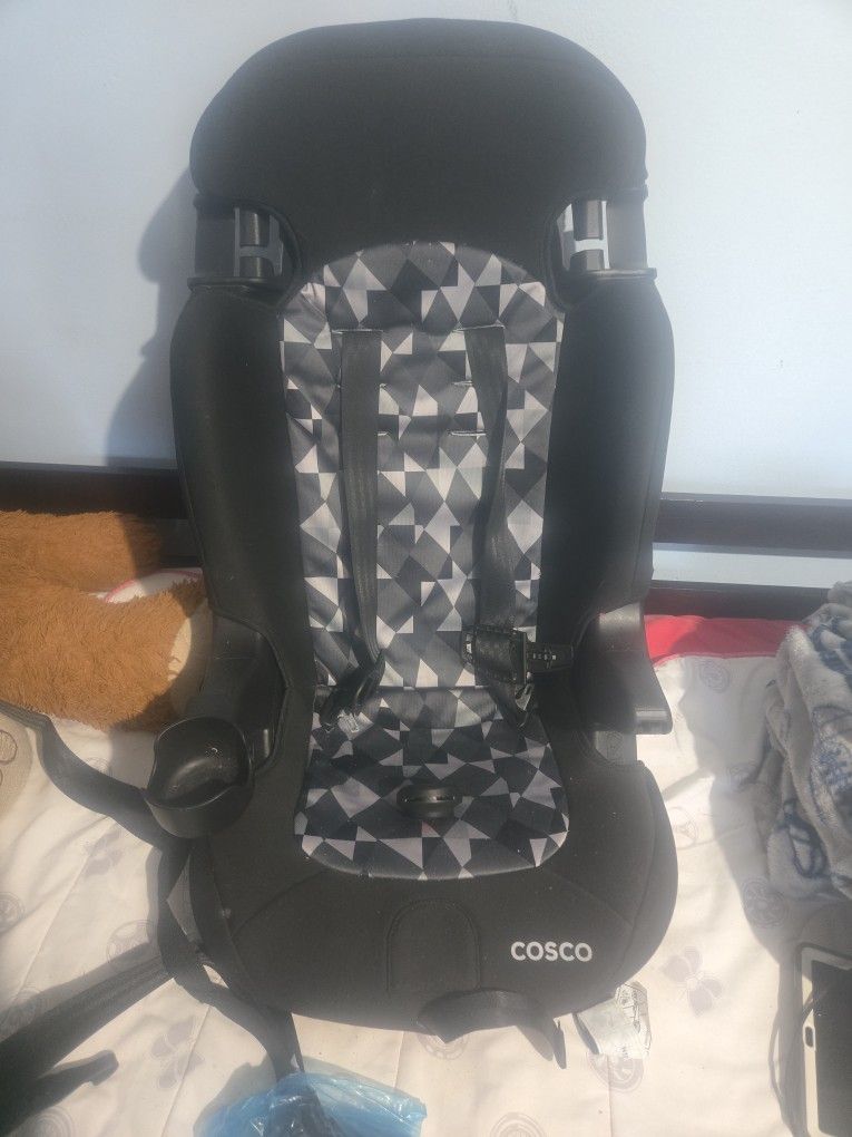 Carseat/Booster Seat