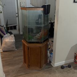 Hexagon Aquarium Tank