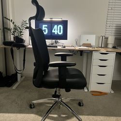 Ergonomic Desk Chair