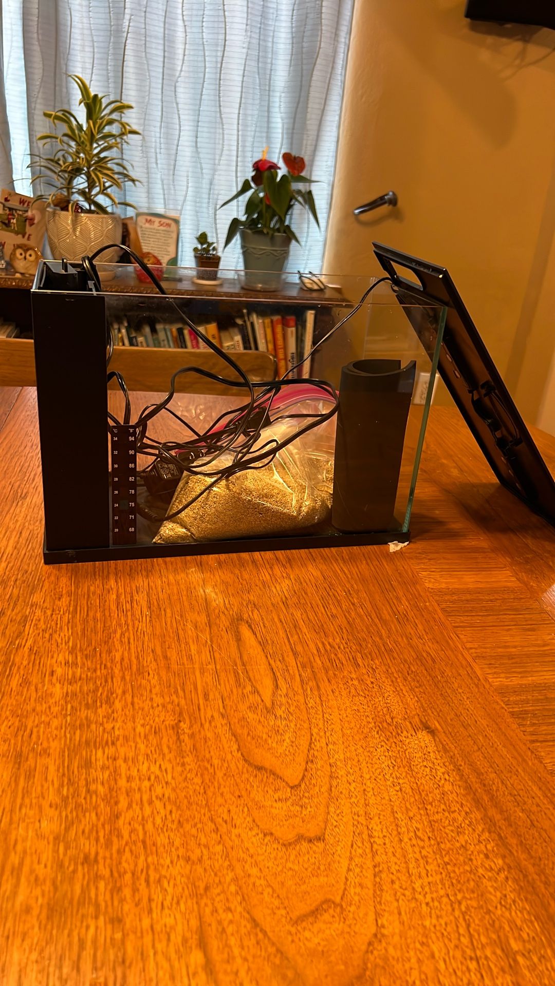 Top Fin 3 gallon aquarium