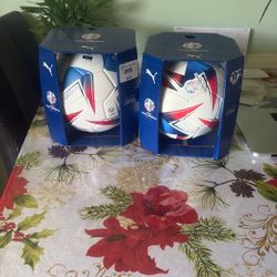 TWO COPA AMERICA BALLS FOR 90$ 