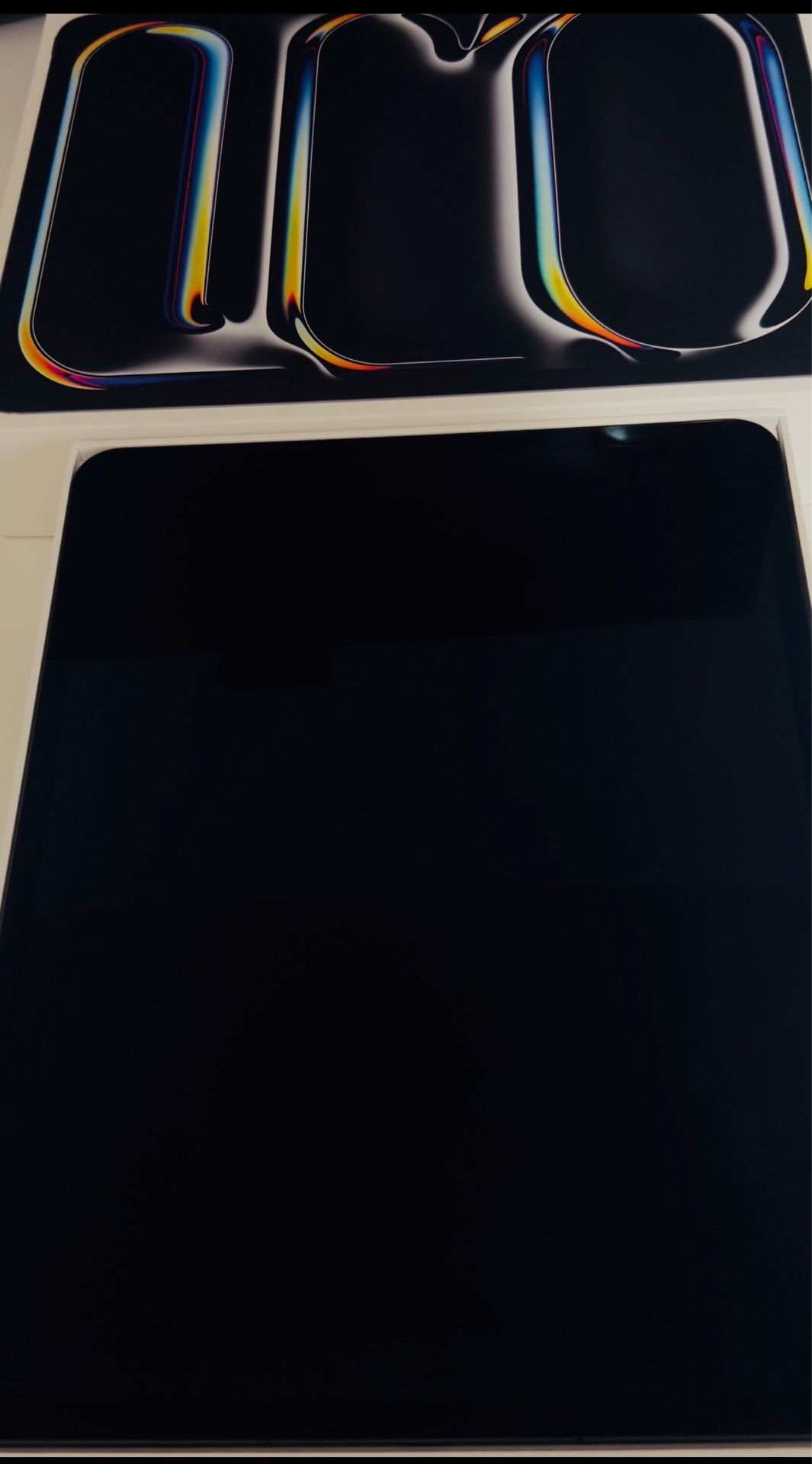 iPad Pro M4 13 inch cellular + WiFi 265GB
