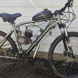 Specialized Bike With 2 Stroke 80cc Engine Kit