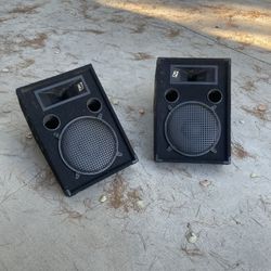 2 Passive Monitors 15 Inch Speakers