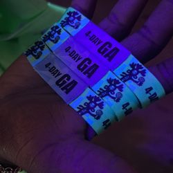 Lollapalooza Tickets For The Low 