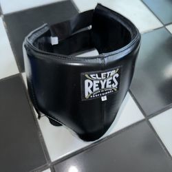 CLETO REYES KIDNEY AND FOUL PROTECTION CUP
