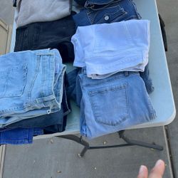 Everything Is    FREE -  FREE. 