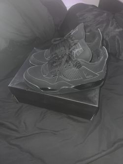 Black Cats