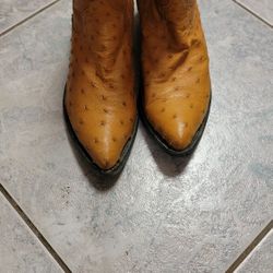 Ostrich Boots