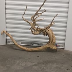 Home Decoration Driftwood Very Unique 