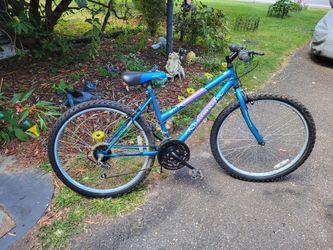 Roadmaster Mt. Furry 