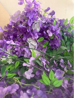 Purple lilac wisteria