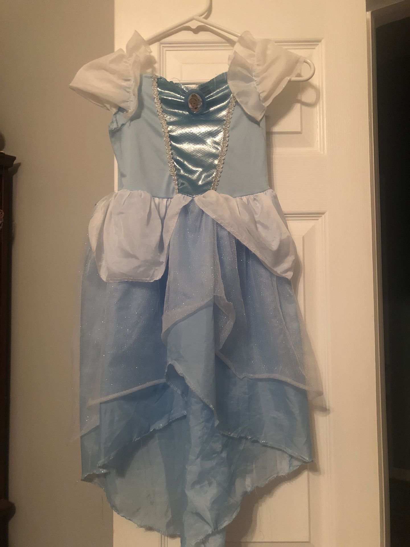 Cinderella Halloween Costume 4/6