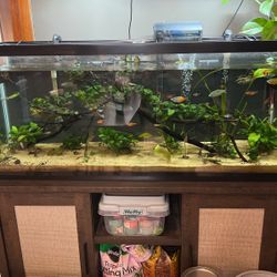 Ton Of Stuff For Sale 