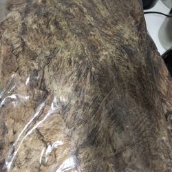 Machacado Recién Llegado De Burgos Tamaulipas