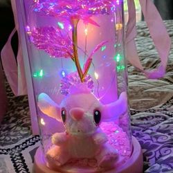 Bonito Regalo 