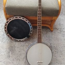 Abandoned Banjo Project 