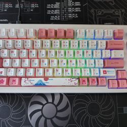 Akko Mechanical Keyboard