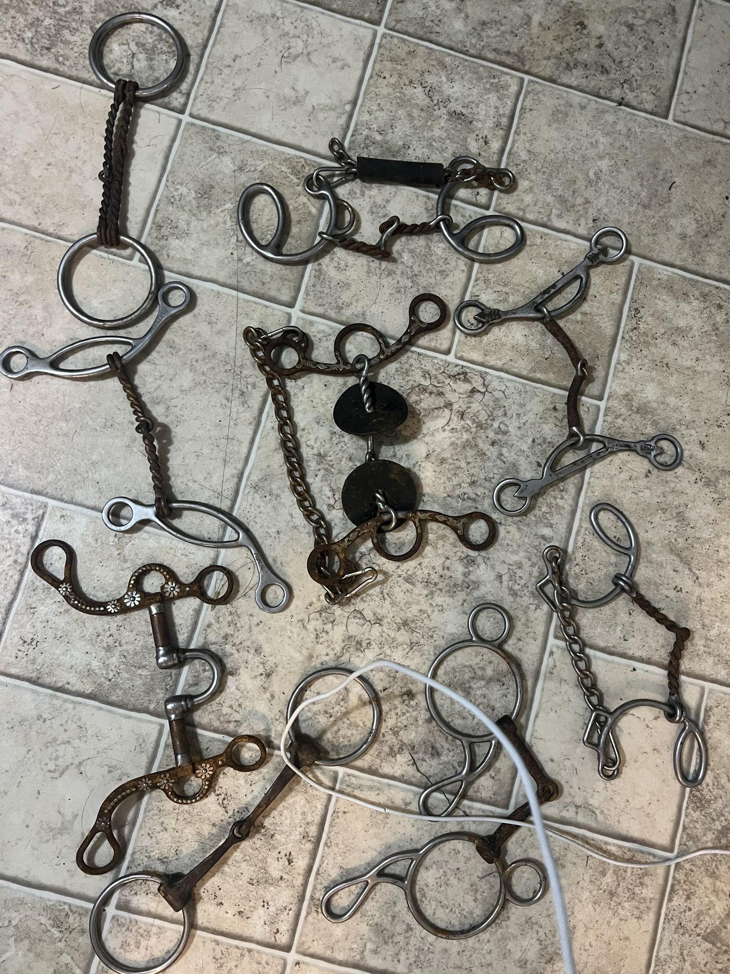 horse bit lot