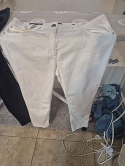 Peserico  Italian pants