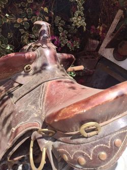 Western saddle