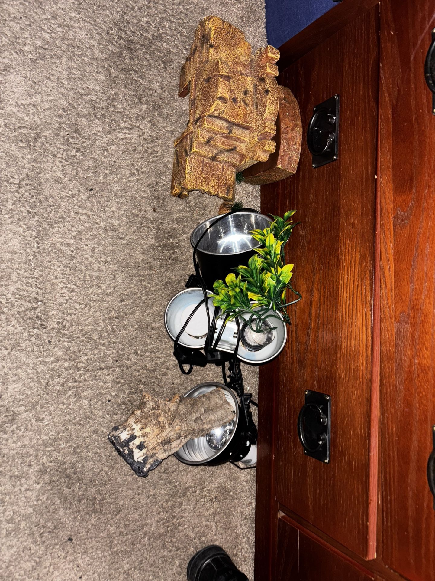 Reptile Accessories