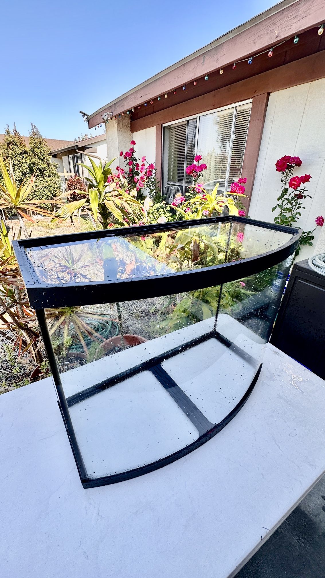 36 Gallon Bowfront Aquarium / Fish Tank and Sturdy Stand for Sale in