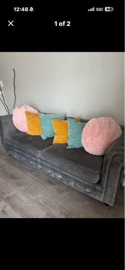 Gray Plush couch