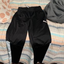 Puma Speed Pants 