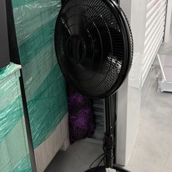 Black Fan