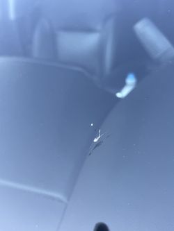 Chip Windshield 