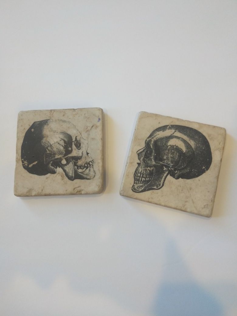 Skull Coasters 2pk.