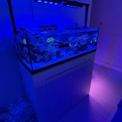 Saltwater Reef Aquarium/fish-tank 