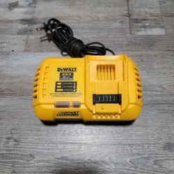DEWALT 12V-20V AND 60V FAST CHARGER PERFECT CONDITION