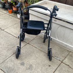 Adult Walker $35