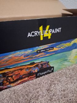 Magic Fly Acrylic Paint 14ct.