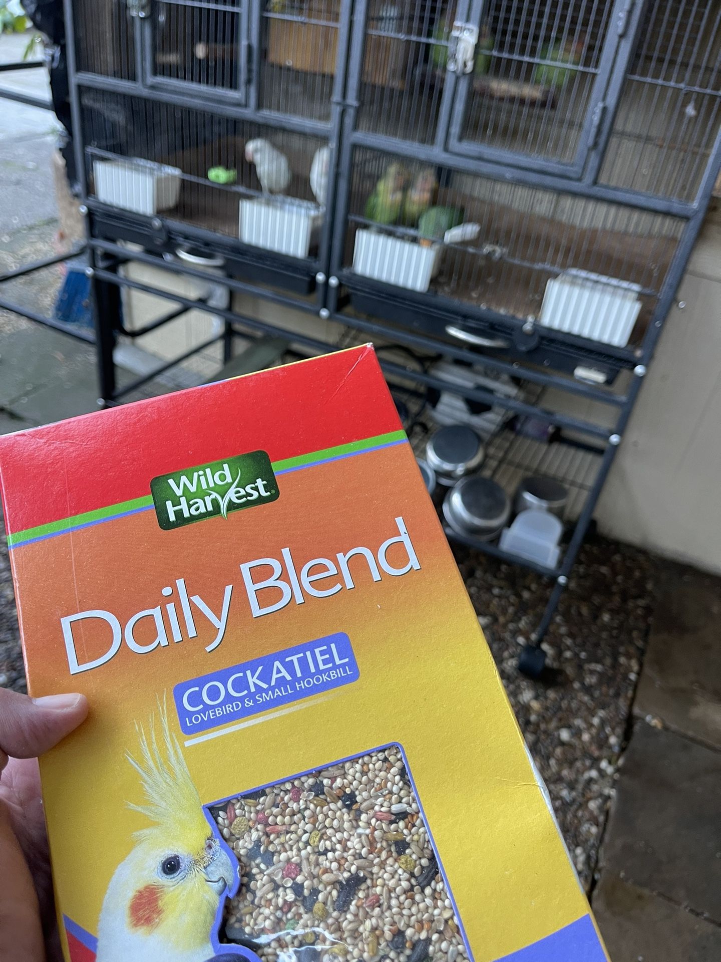 Lovebird Food