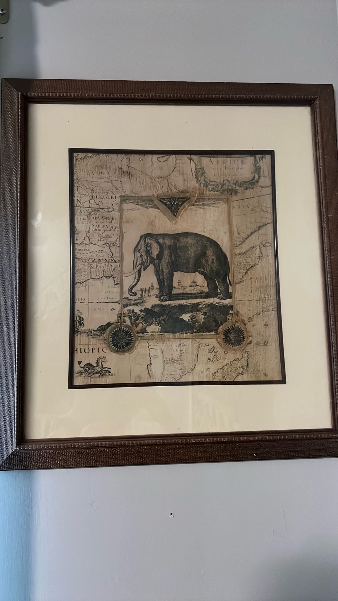 Elephant Picture