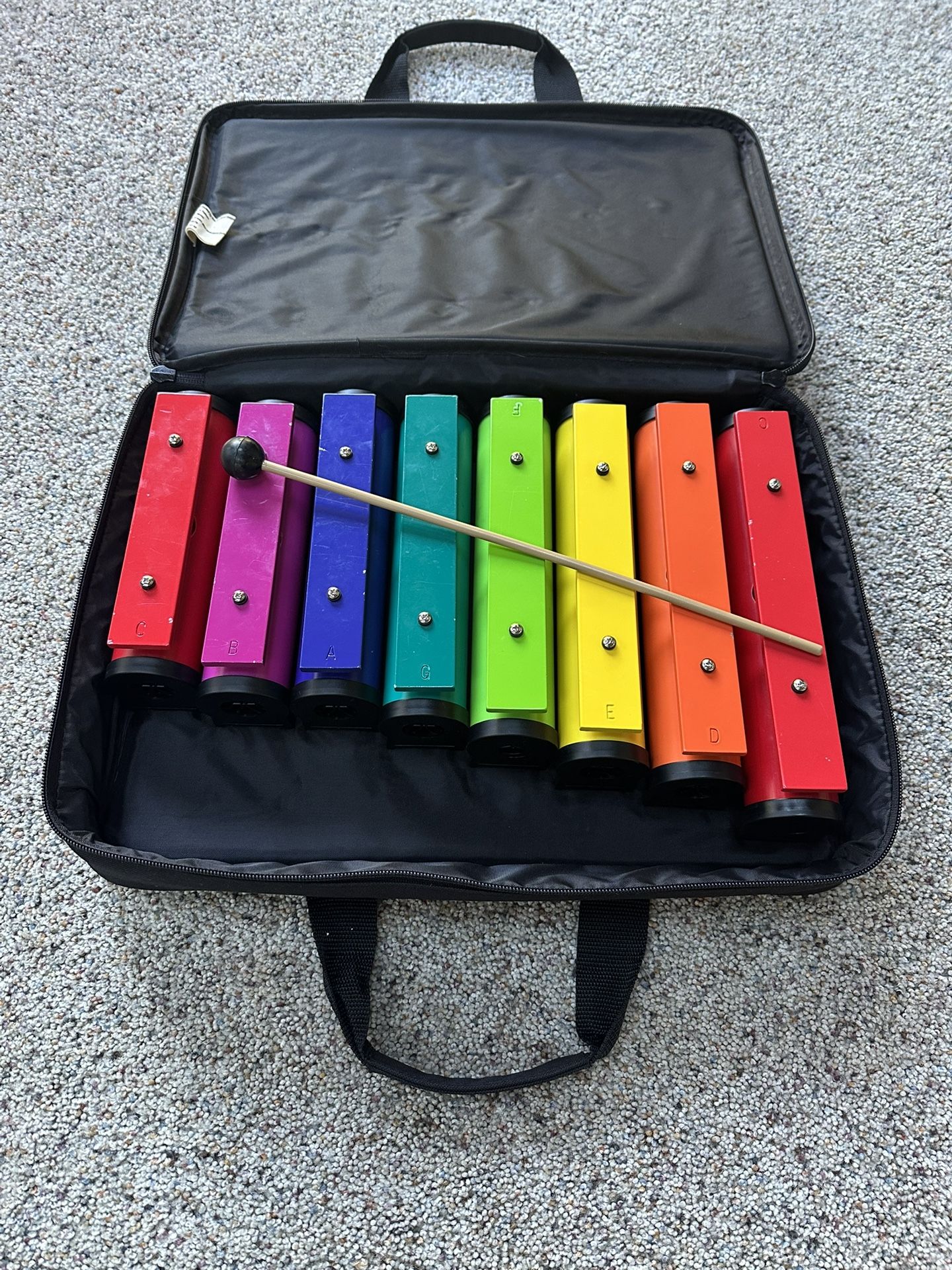Xylophone And Carrying Case