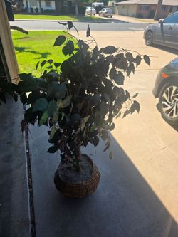 Fake tree
