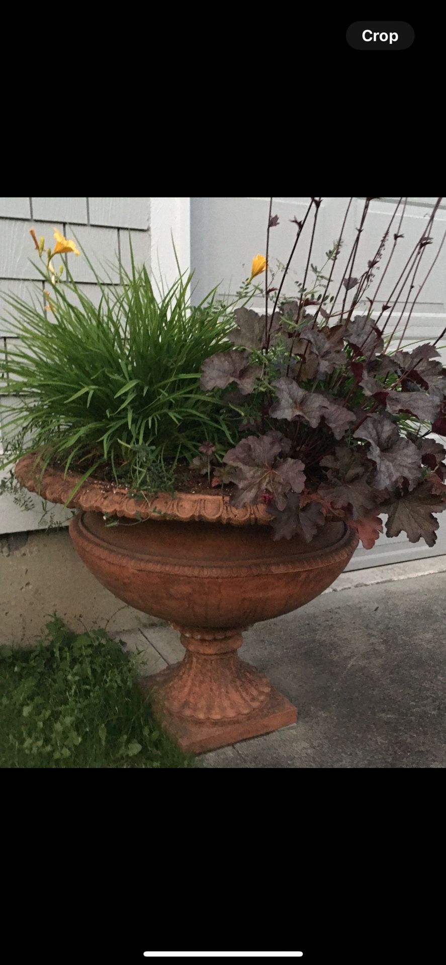 Flower Pots
