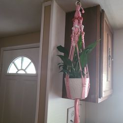 Plant Hanger 