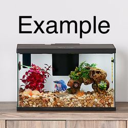 Aquarium Tank TOP FIN