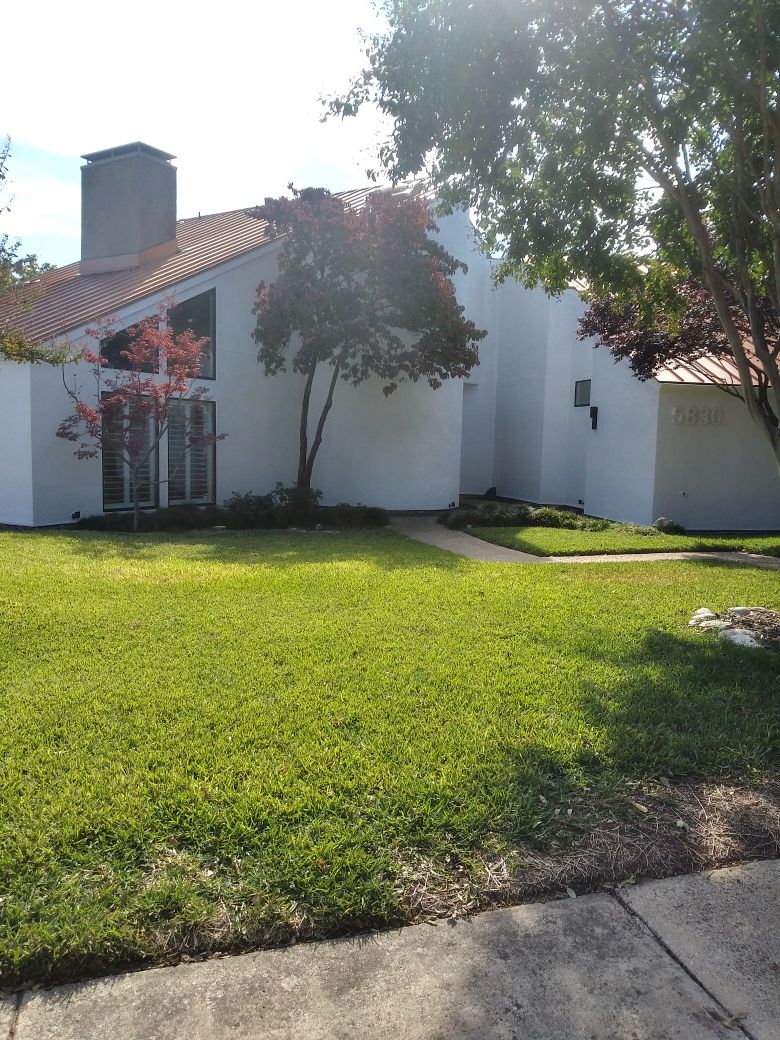 Se hace estuco Cameras & Photography