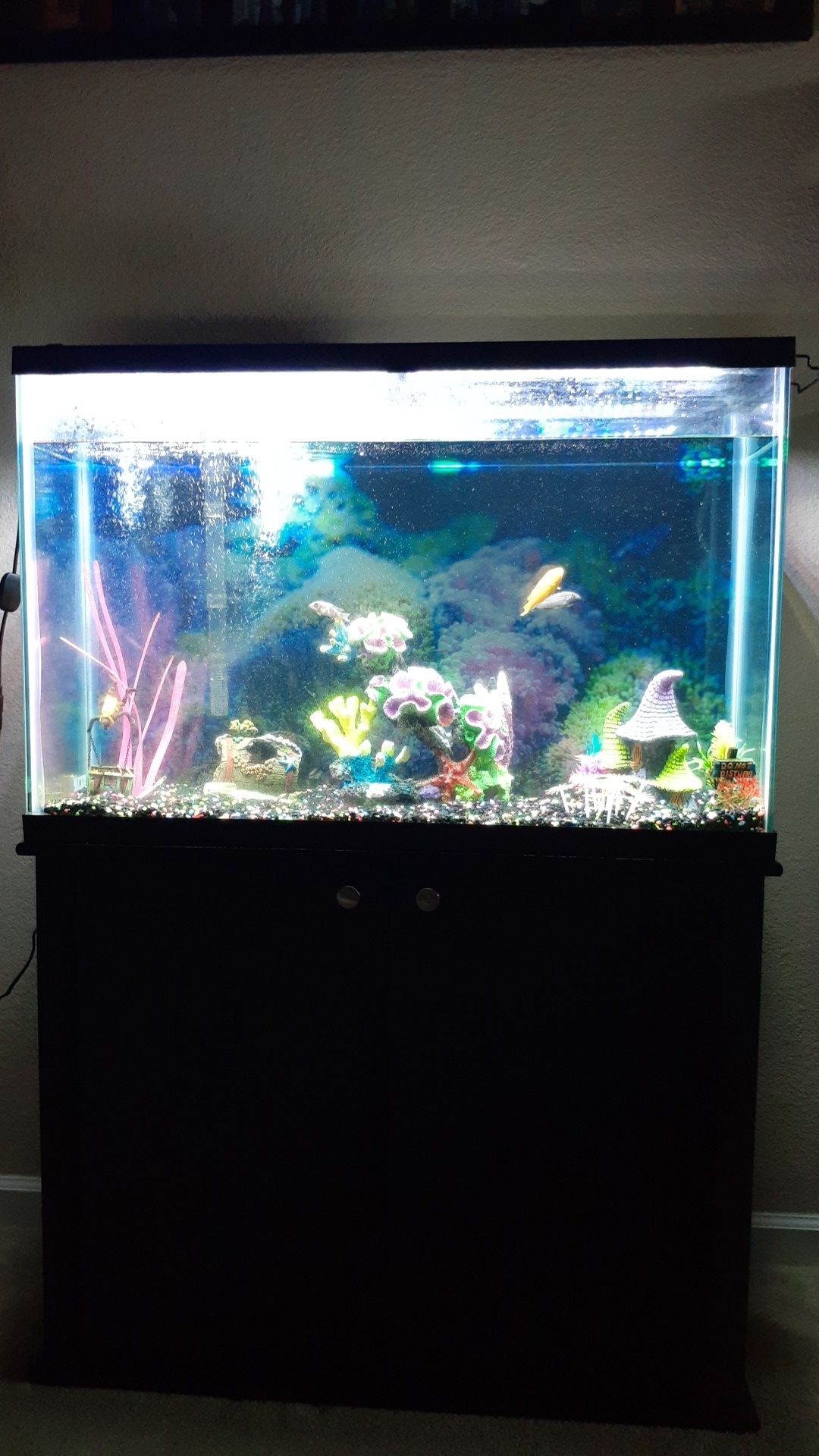 45 gallon aquarium and stand for Sale in Elk Grove, CA OfferUp